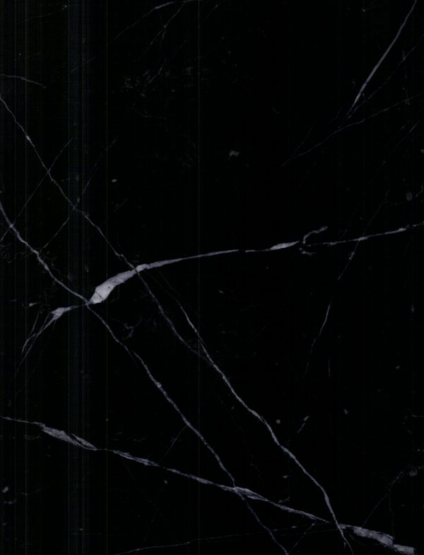 Nero Marquina Marble Slabs - Image 2