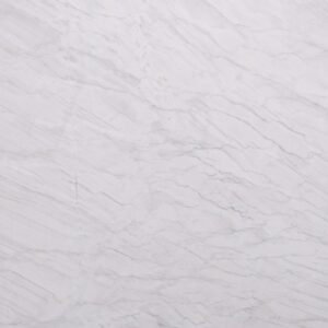 White Polaris Quartzite Slabs  (Out of Stock)