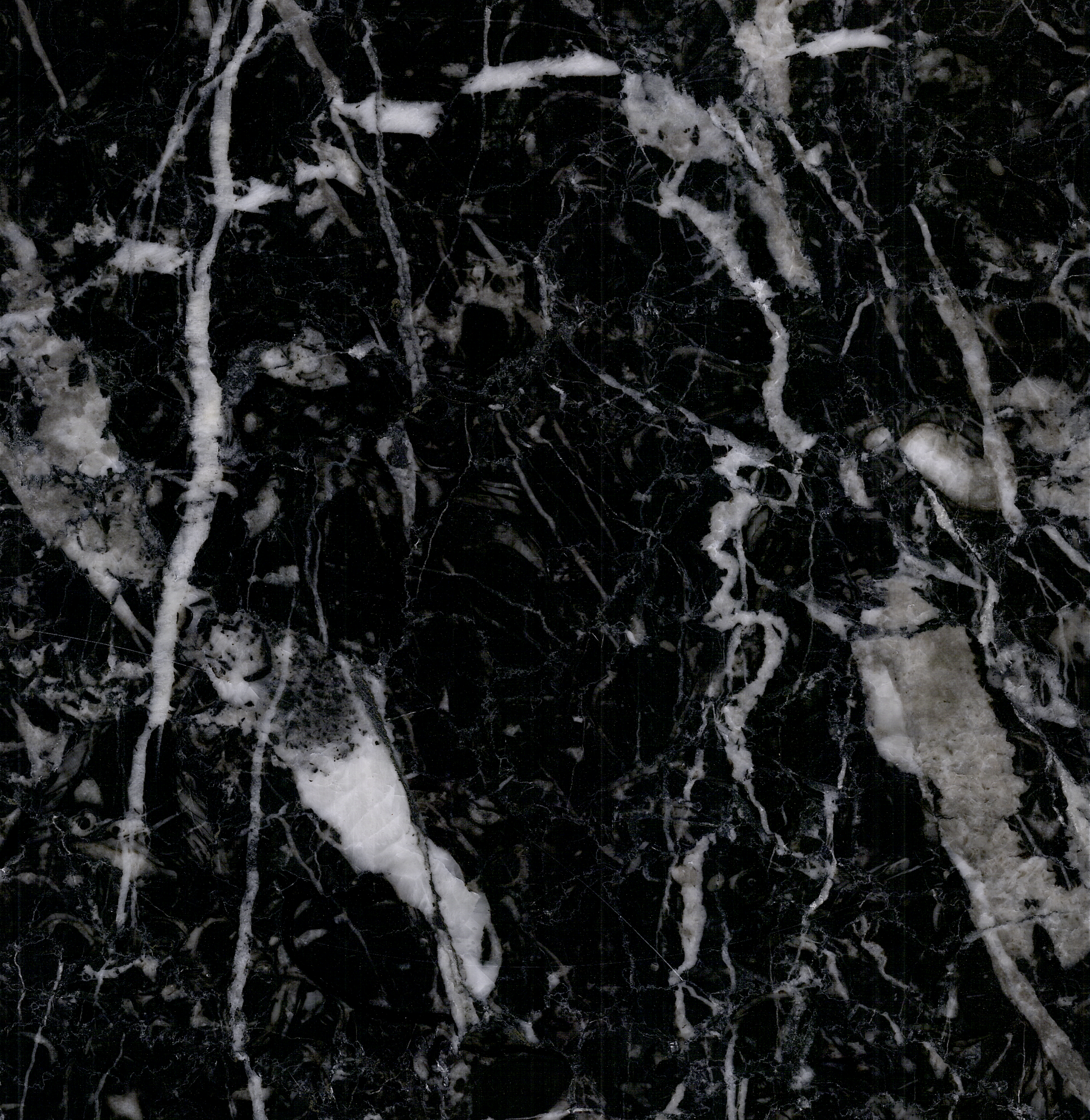 Black Forest Marble Slab
